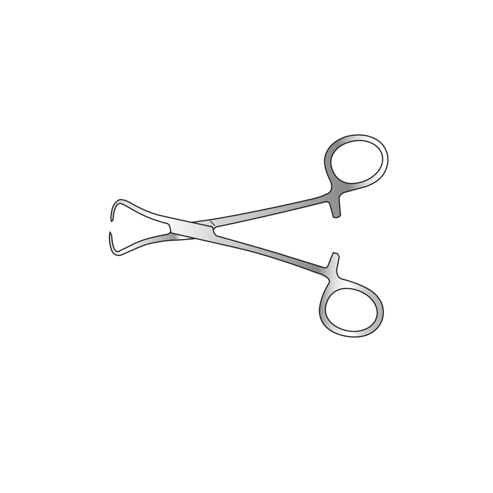 bag-and-towel-clips11